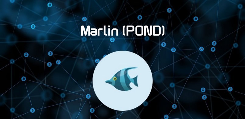 Có nên đầu tư Marlin POND không